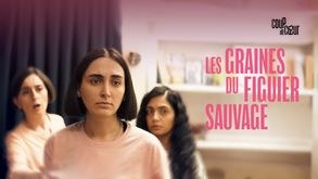 Les Graines du figuier sauvage, Film Drame, Sur CANAL+
